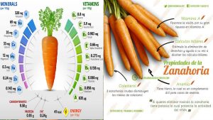 zanahoria para diabetes tipo 2 – Receta completaLa zanahoria es la verdura número uno para la neuropatía diabética lo cual implica tus ojos. Muchas personas